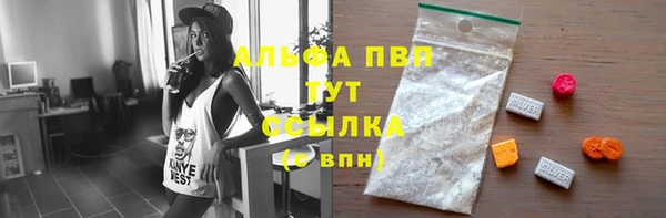 амф Болотное