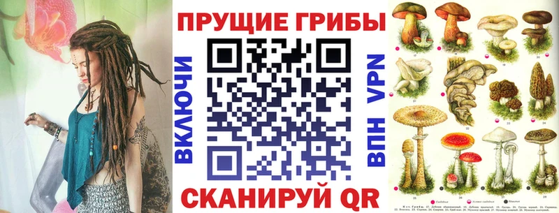Галлюциногенные грибы Cubensis  MEGA ссылки  Светлоград 